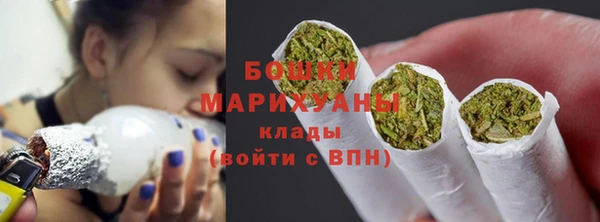 spice Богородск