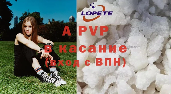 spice Богородск