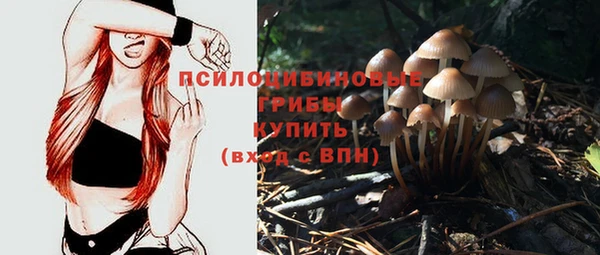 spice Богородск
